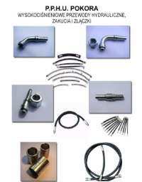 Katalog